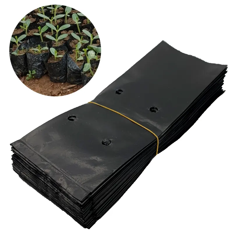 도매 플라스틱 보육 가방 식물 묘목 성장 가방 구멍 블랙 심기 가방