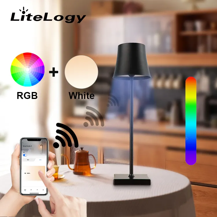 Free Sample Wholesale New Home Decor Metallic Rechargeable Usb Remote Control Cordless Bedside Smart Table Lamp