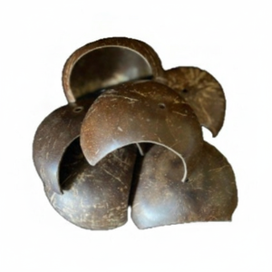 Nido de Pájaro Natural de Cáscara de Coco con Escalera de Madera |   Casa para Pájaros Ecológica Hecha a Mano para Loros, Pinzones, Agapornis - Product Image 6