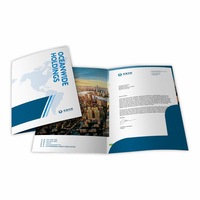 Logotipo personalizado 2 carpetas de bolsillo Papel A4 Carpeta de archivos Suministros de oficina de negocios Carpeta de tamaño carta
