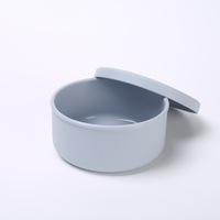 Ensemble de boîtes à lunch empilables en silicone pur, style minimaliste, deux pièces, avec bol pour bébé et couvercle hermétique