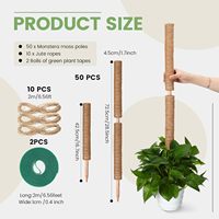 MOSS POLE Lot de 4 piquets de soutien en mousse de 17 pouces pour plantes grimpantes, accessoires d'intérieur - Piquets de soutien empilables pour plantes