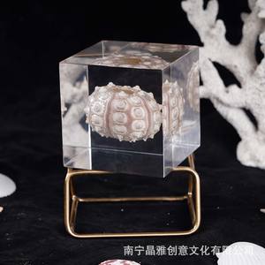 Cubo de espino de mar natural acrílico, adorno de escritorio, regalo decorativo, forma cuadrada, artesanía duradera - Product Image 6