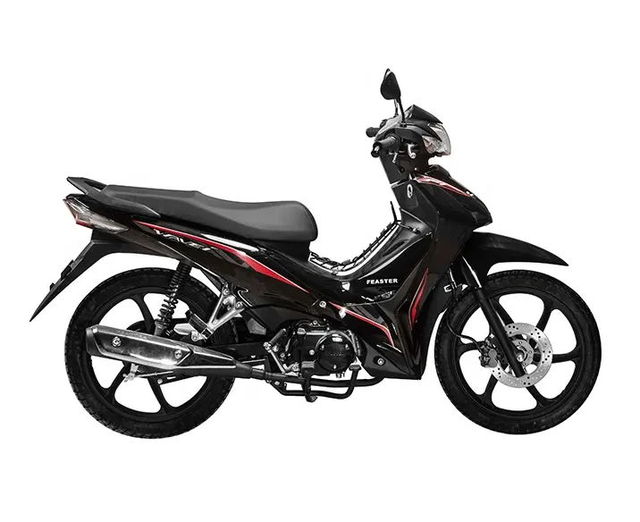 Gallop oem EEC 4 스트로크 엔진 저렴한 110cc 125cc 새끼 오토바이 lifan