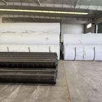 Tissu géotextile non tissé en HDPE pour le drainage routier, la filtration, la séparation, le renforcement, la construction, les applications en pisciculture et en étang.