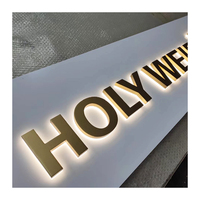 Signalisation de lettre LED 3D personnalisée pour magasins Bande de 40 LED en PVC dur Néon 12 Décoration Aluminium Acrylique WANL Mount Building Mall