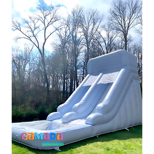 Nuevo tobogán inflable pequeño de color rosa pastel Popular <span class=keywords><strong>con</strong></span> <span class=keywords><strong>piscina</strong></span> tobogán de agua comercial Rosa Tobogán acuático Aquatique - Product Image 4