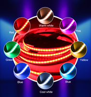 Tira de LED COB Flexible Raymates de 630 LED, Alta Calidad, 24V 14W, Color RGB, IP20, para Decoración de Bares y KTV