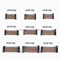 Cable de Conexión de 30 cm, 40 Pines, Macho a Hembra, Color 40P, para RFID, Tipo DuPont