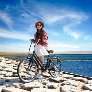Bicicletas eléctricas urbanas asequible, 250w, 350w, <span class=keywords><strong>bicicleta</strong></span> eléctrica + motor de una sola velocidad - Product Image 2
