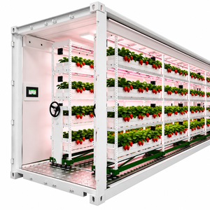 Indoor Sealed Cultivation Container with Floor Placed <b>Planting</b> Trays & Timing LED <b>Lights</b> for Commercial Strawberry Growing - Product Image 5