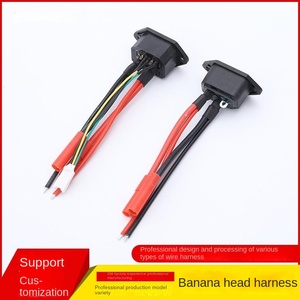 Faisceau de fils de tête de banane avec interrupteur connecteur de borne importé nouveau faisceau de câblage étanche électronique de batterie d'énergie - Product Image 5