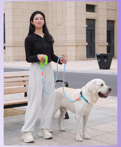 JXANRY-Correa para perro, cómoda, a prueba de explosiones, para exteriores, para perros grandes, multifuncional - Product Image 3