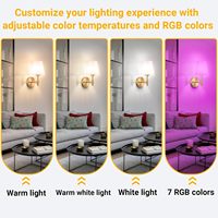 Ampoule LED USB rechargeable 5W E27 6000mAh, fonctionnant sur batterie DC, télécommande sans fil, lumière murale pour chambre à coucher, décoration murale