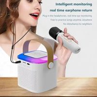 Système de karaoké Y1 Home KTV pour fêtes, enceinte Bluetooth, prise en charge des clés USB et cartes TF, lecteur de musique, lumière RGB, ensemble de microphones sans fil