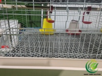 Nouvelle cage à poulets en acier galvanisé de type H à 4 niveaux avec planche à fumier coulissante, haute résistance à la corrosion, pour l'élevage de poulettes et de poussins