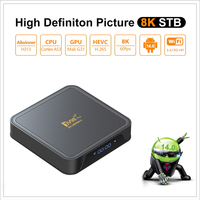 Le plus récent projet 2025 TV98 PRO Box avec Allwinner H313 Quad Core ARM A53 802.11 B/g/n 2.4G.+ 5G WIFI + BT 5.2 8GB ROM Display Home