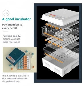 Incubateur d'oeufs de bonne qualité 120 capacité incubateur entièrement automatique <span class=keywords><strong>à</strong></span> <span class=keywords><strong>vendre</strong></span> - Product Image 6
