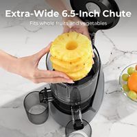 Elektrische citruspers met roestvrijstalen onderstel, automatisch liftend ontwerp voor zachte, sappige vruchten, geschikt voor gebruik in de keuken of buitenshuis