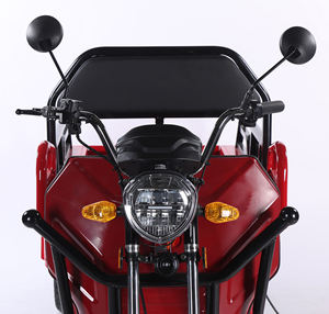 Triciclo de carga eléctrica de servicio pesado certificado EEC para logística Europea Baterías duales Triciclos eléctricos de potencia de 1000W Cuerpo cerrado abierto - Product Image 4