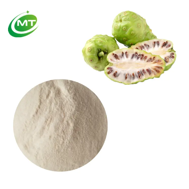 Natural Organic Morinda Citrifolia Powder Noni Fruit Powder Noni Fruit Juice Powder