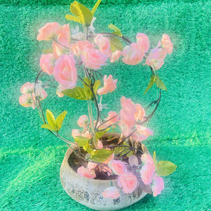 Tùy Chỉnh Leo Vòng Rõ Ràng Acrylic Cây Trellis U Vòng Tròn S Tổ Ong Chậu Cây Cây Hỗ Trợ Cho Trong Nhà - Product Image 4