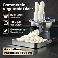 Mond.uk M1 300kg/uur Commerciële Elektrische Groenten- en Fruit snijmachine voor Kantines en Restaurants