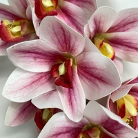 10 Têtes de Fleurs d'Orchidées Cymbidium Artificielles Tissées Effet Naturel Blanc Rose Style Bohème Pâques Noël Saint-Valentin