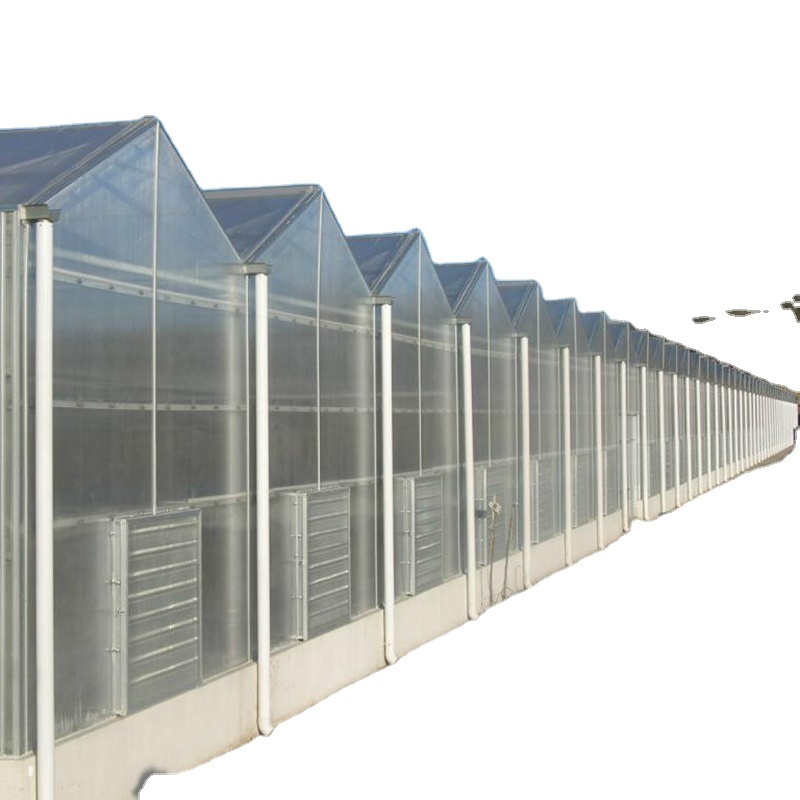 Hot Sale Polycarbonate Green House Greenhouse