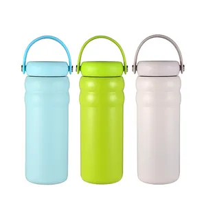 Home-it Glass Bottles 6 Pack 16oz - Water Bottle Glass with Stainless Steel  Caps with Carryin 