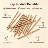 Pajitas de Madera al por Mayor Directo de Fábrica, Pajitas Biodegradables para Beber, Logotipo Personalizado, Ecológicas