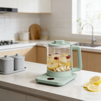 Bouilloire électrique multifonction 800W en verre 1,1-1,5L, infuseur numérique 10-en-1, support à œufs 5 emplacements, fonction maintien au chaud, pour usage domestique et hôtelier