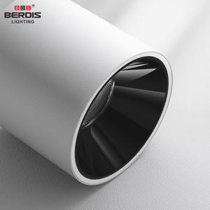 10W 15W 20W 26 WMontaje en superficie Lente COB Montaje en superficie Led Downlight Uso comercial Foco de luz de techo antideslumbrante - Product Image 4