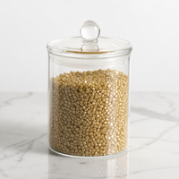 Composites en polypropylène (PP) renforcés de fibres de verre (GF15, GF30) à haute résistance aux chocs pour pièces automobiles et boîtiers de composants électroniques