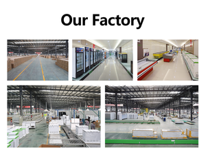 1200L-20度超大容量トップオープンドアチェストスタイルディープフリーザー - Product Image 6