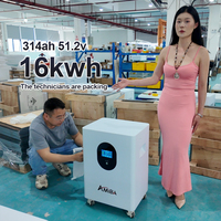 Nouvelle version mise à jour : Batteries au lithium 51,2 V 200 Ah 314 Ah 10 kWh 16 kWh pour stockage d'énergie domestique, batterie LiFePO4 optimisée pour système solaire