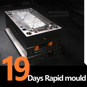 Injection Mould Professional OEM Injection Mould For Abs/pc/pvc/pp/pa66/pmma Plastic Injection Molding