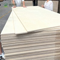 Contreplaqué en bouleau de la Baltique haute densité de 3 mm avec noyau sans vide, planche en bois dur de qualité laser pour l'artisanat et la modélisation