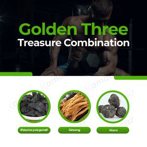 जिनसेंग पांच खजाने हर्बल सप्लीमेंट चाय पुरुष किडनी की सेहत को सपोर्ट करता है जिनसेंग गोजी जामुन मका - Product Image 5