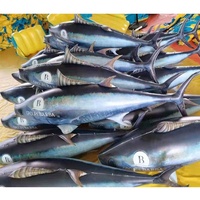 Hong kong — modèle de poisson gonflable en PVC étanche