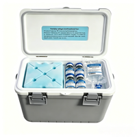 Glacière à injection 10L couleur personnalisée RL-10, design professionnel élégant vs robuste rotomoulé, boîte thermique portable pour branding professionnel