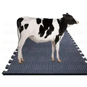 固态硬盘新产品舒适防滑防水生态材料彩色奶牛动物印花汽车地板垫