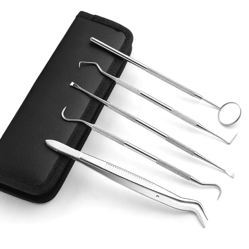 Set di strumenti per l'igiene orale personale professionale per la cura dei denti Kit di strumenti dentali in acciaio inossidabile per la pulizia del dentista