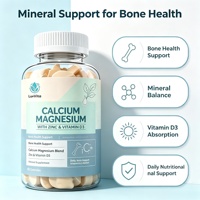 Gummies OEM Calcium Magnésium avec Zinc et Vitamine D3 pour la Santé Osseuse – Complément Minéral en Forme d'Ours – Supplément Alimentaire