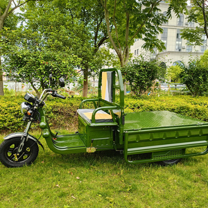 Tuk-tuk électrique, vélo électrique à 3 <span class=keywords><strong>roues</strong></span>, tricycle passager, <span class=keywords><strong>moto</strong></span> cargo pour adultes, pour la ferme - Product Image 5