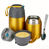 Boîtes à lunch isothermes de qualité alimentaire sans BPA, 17 oz et 24 oz