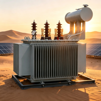 Transformateur immergé dans l'huile triphasé S11 125KVA, applications d'électrification industrielle et rurale, transformateur de puissance