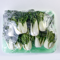 Hoge kwaliteit wegwerp plastic PET schuimtray voor vers voedselverpakkingen, vlees, supermarkt opbergdozen