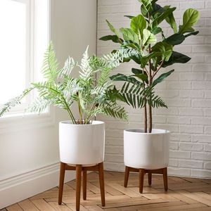 Ensemble <span class=keywords><strong>de</strong></span> <span class=keywords><strong>pot</strong></span> <span class=keywords><strong>de</strong></span> fleurs en céramique noir mat et <span class=keywords><strong>de</strong></span> support pour plantes <span class=keywords><strong>de</strong></span> style mid-century, grand <span class=keywords><strong>pot</strong></span> <span class=keywords><strong>de</strong></span> fleurs d'intérieur, <span class=keywords><strong>pot</strong></span> <span class=keywords><strong>de</strong></span> fleurs en céramique blanche - Product Image 1