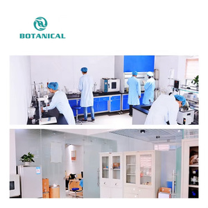 B.C.I Cung cấp tuckahoe chiết xuất poria Cocos chiết xuất 30% polysaccharides nấm bột - Product Image 5